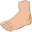 foot